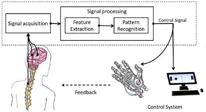 Brain-Computer Interface diagram